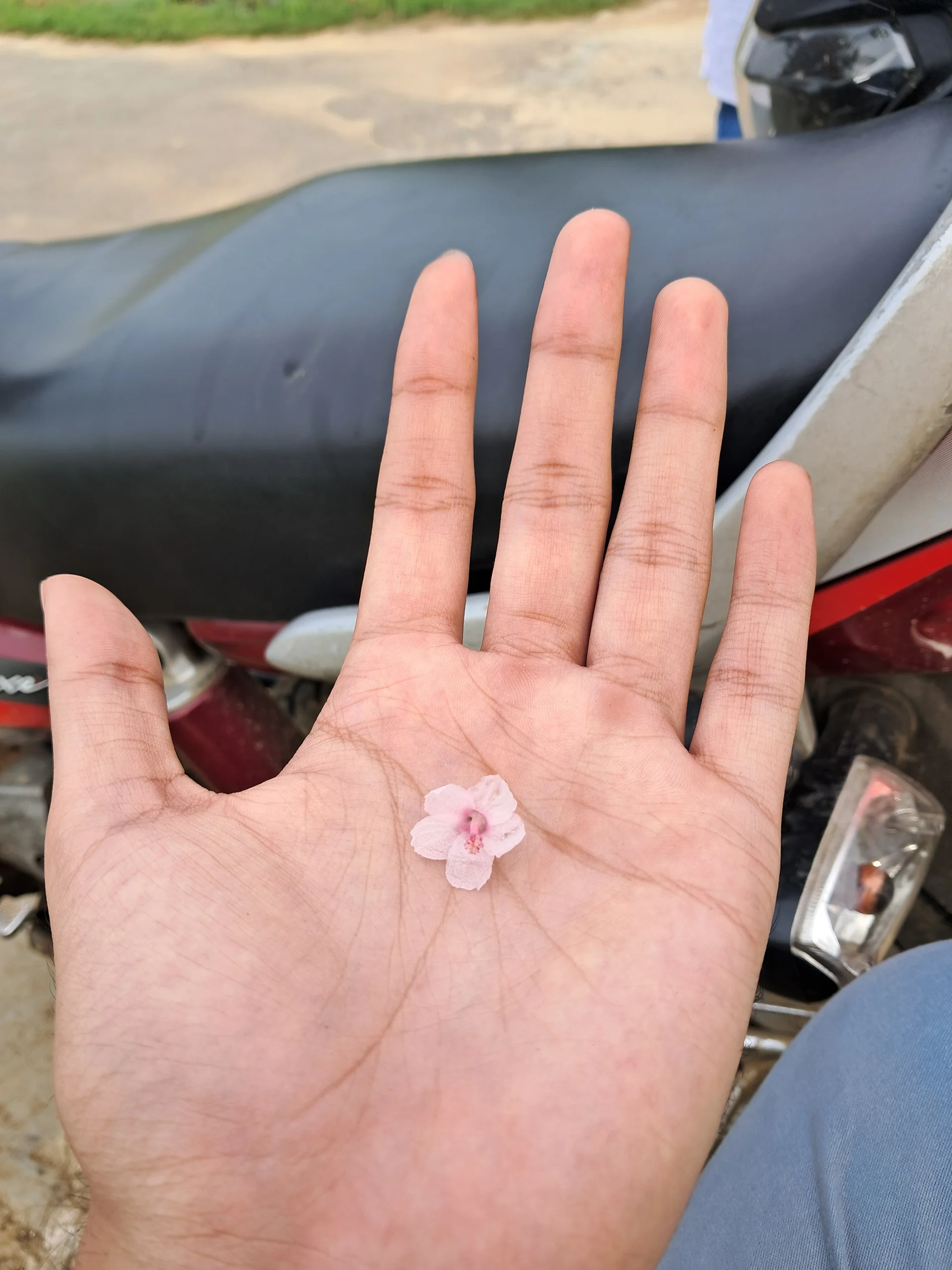 XXX Porn Photo of Nude tall_nangu 3