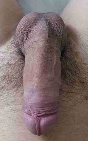 XXX Porn Photo of Nude XiaojijiA 5