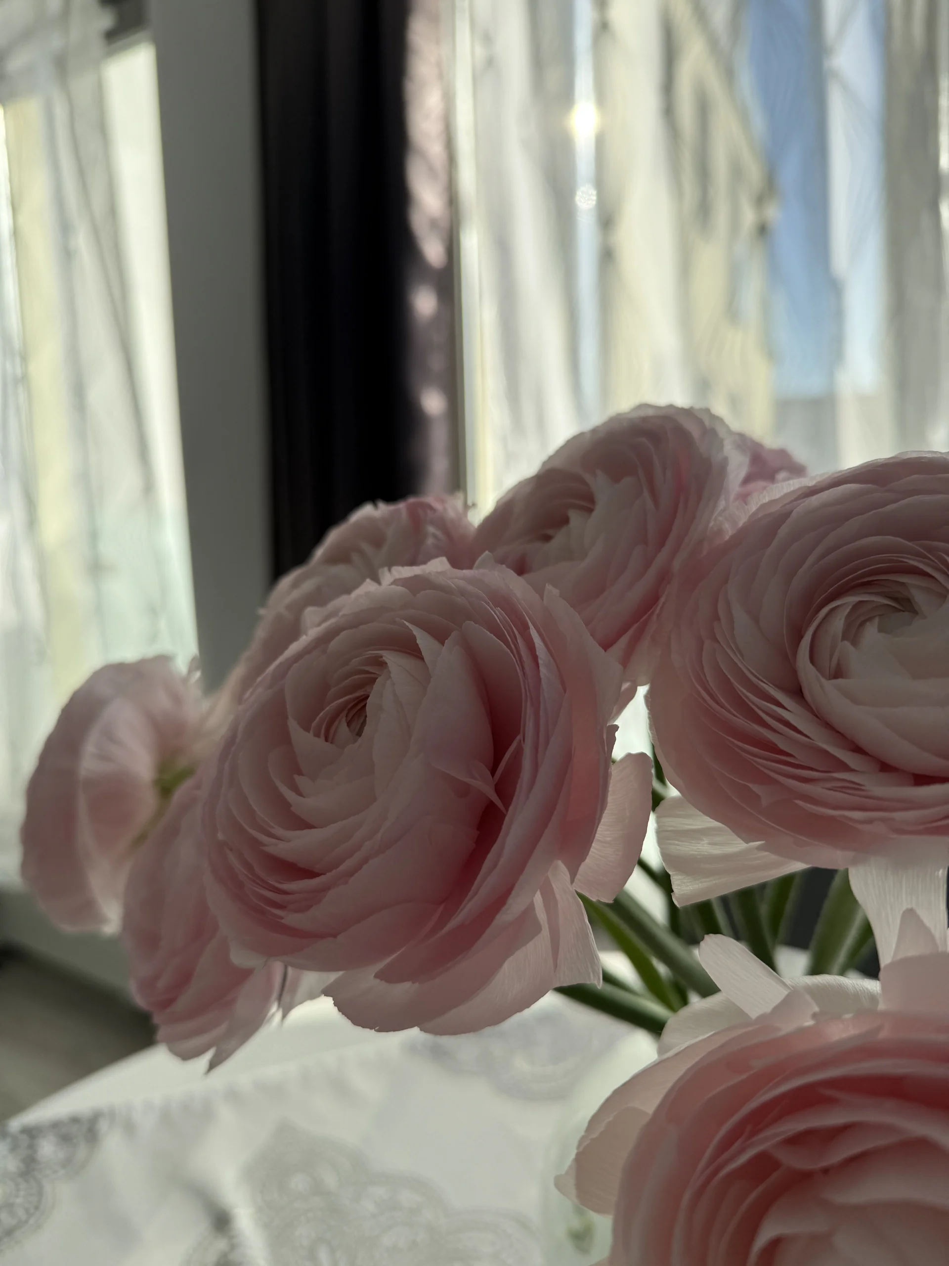 XXX Porn Photo of Nude PetalsAndKeys 11