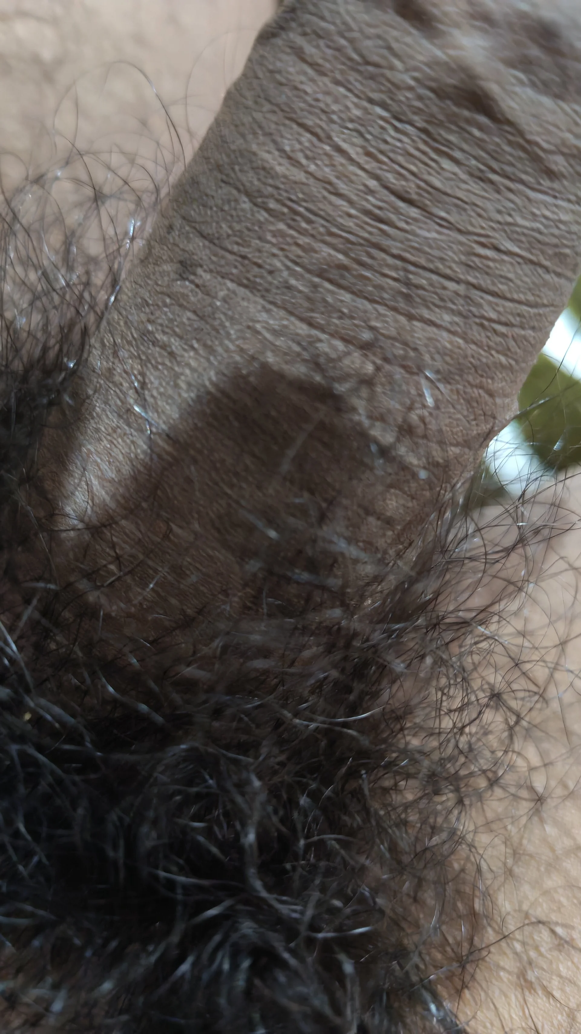 XXX Porn Photo of Nude Blackhotdicky 2