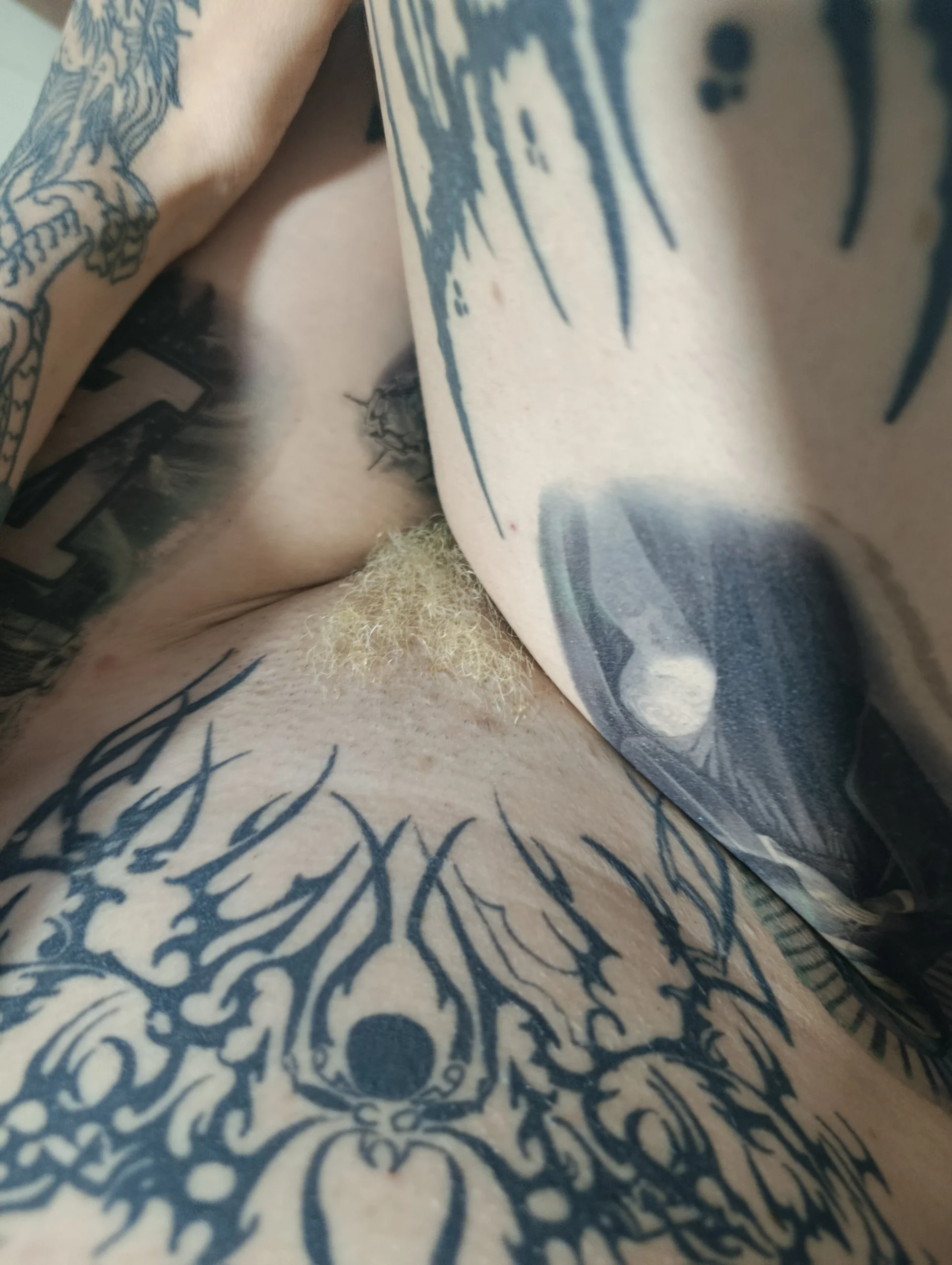 XXX Porn Photo of Nude barbara_anal_squirt_ 133