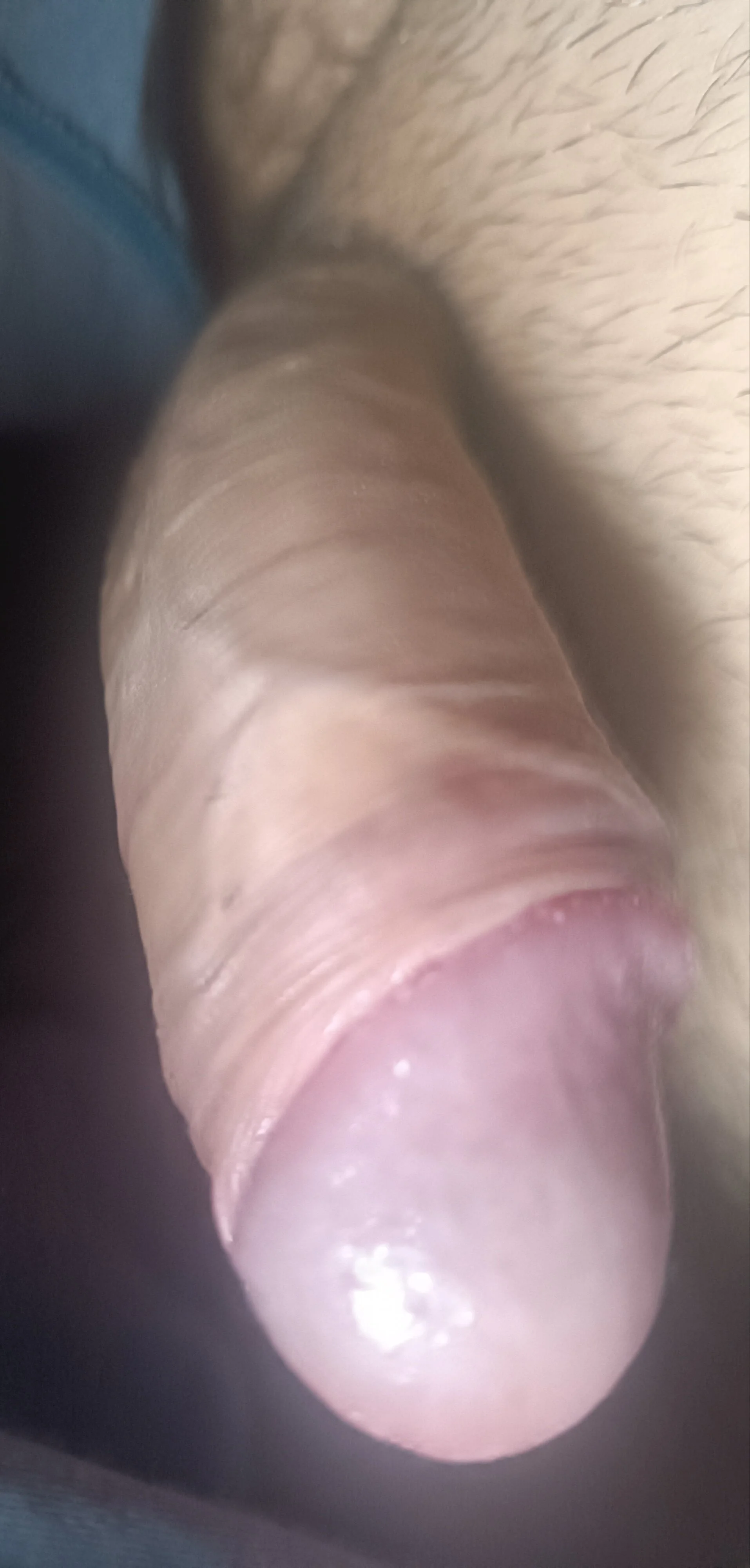 XXX Porn Photo of Nude Buchosex 1