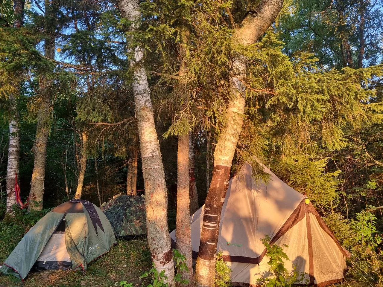 XXX Porn Photo of Nude Reed_Fox 21