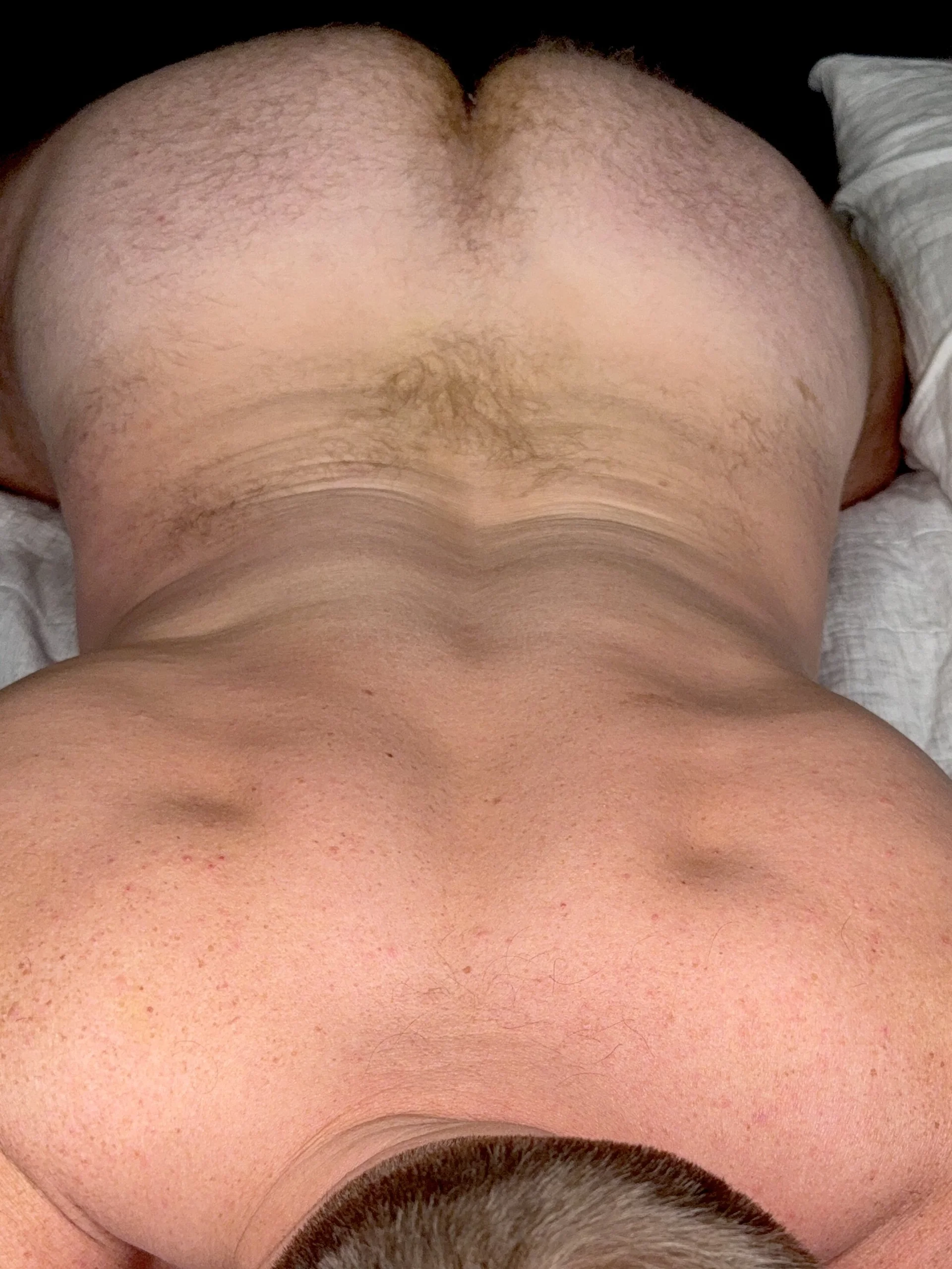 XXX Porn Photo of Nude bottombearishguy 2