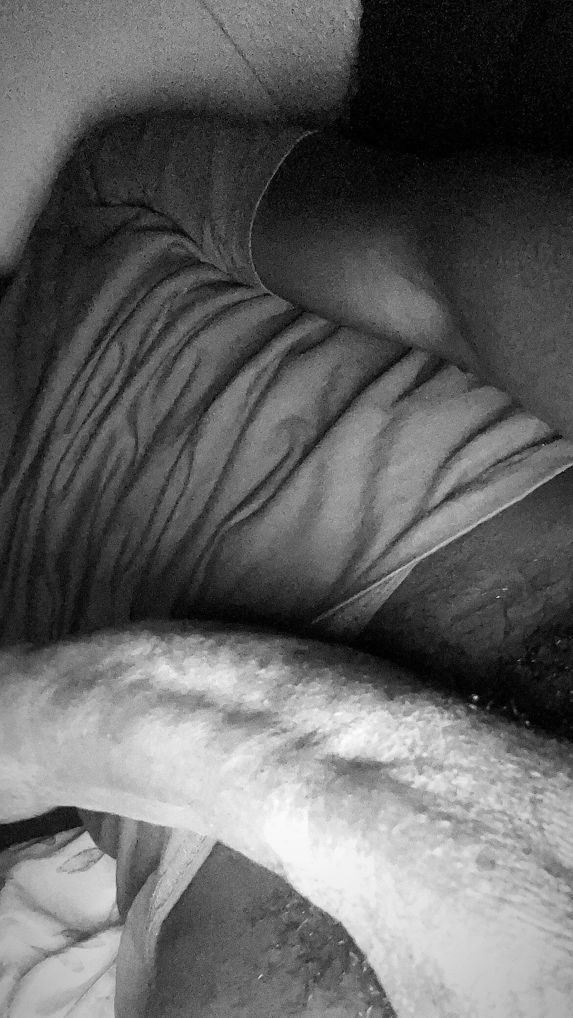 XXX Porn Photo of Nude Bendito27 1
