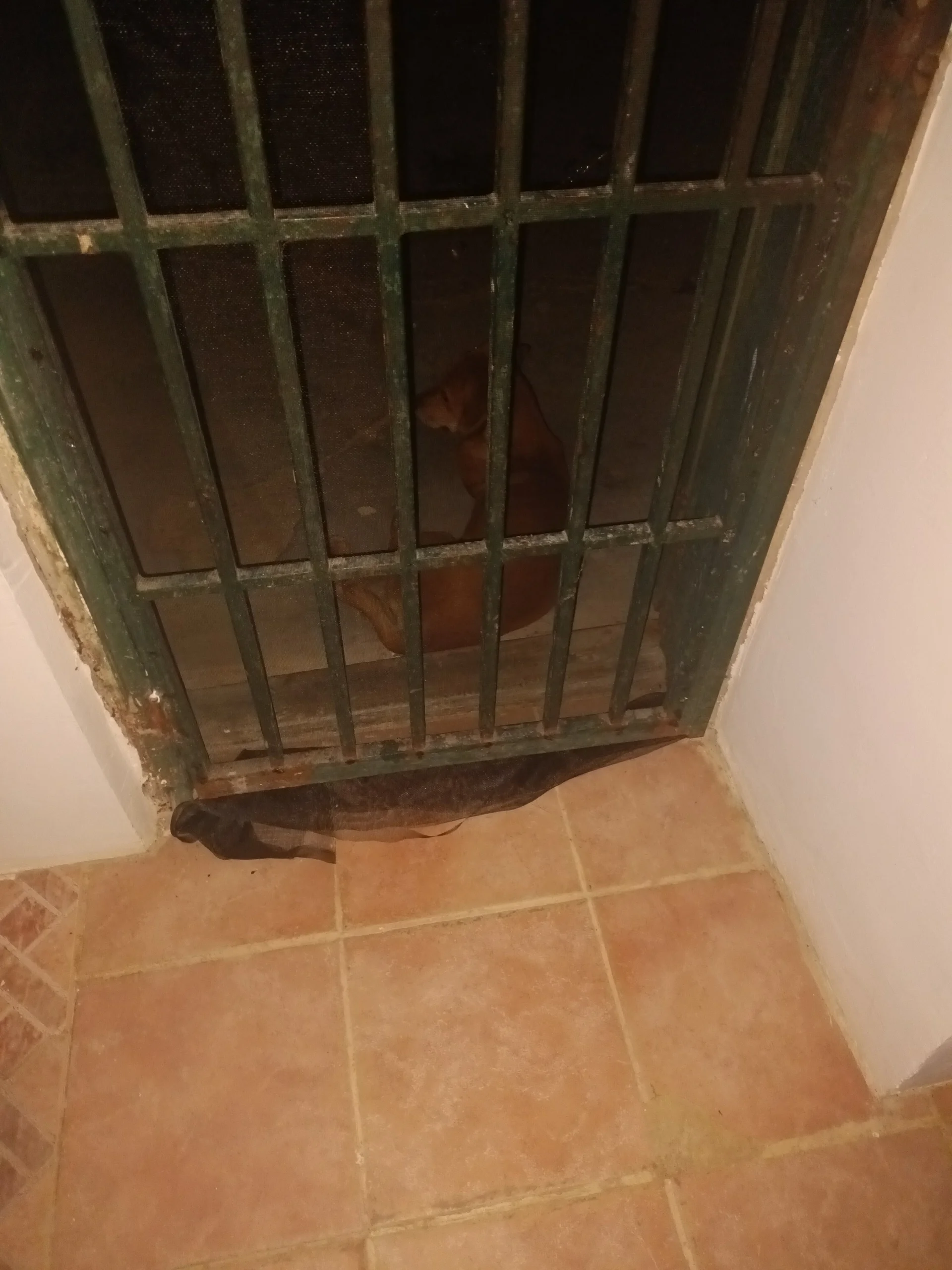 XXX Porn Photo of Nude Salasgr 10