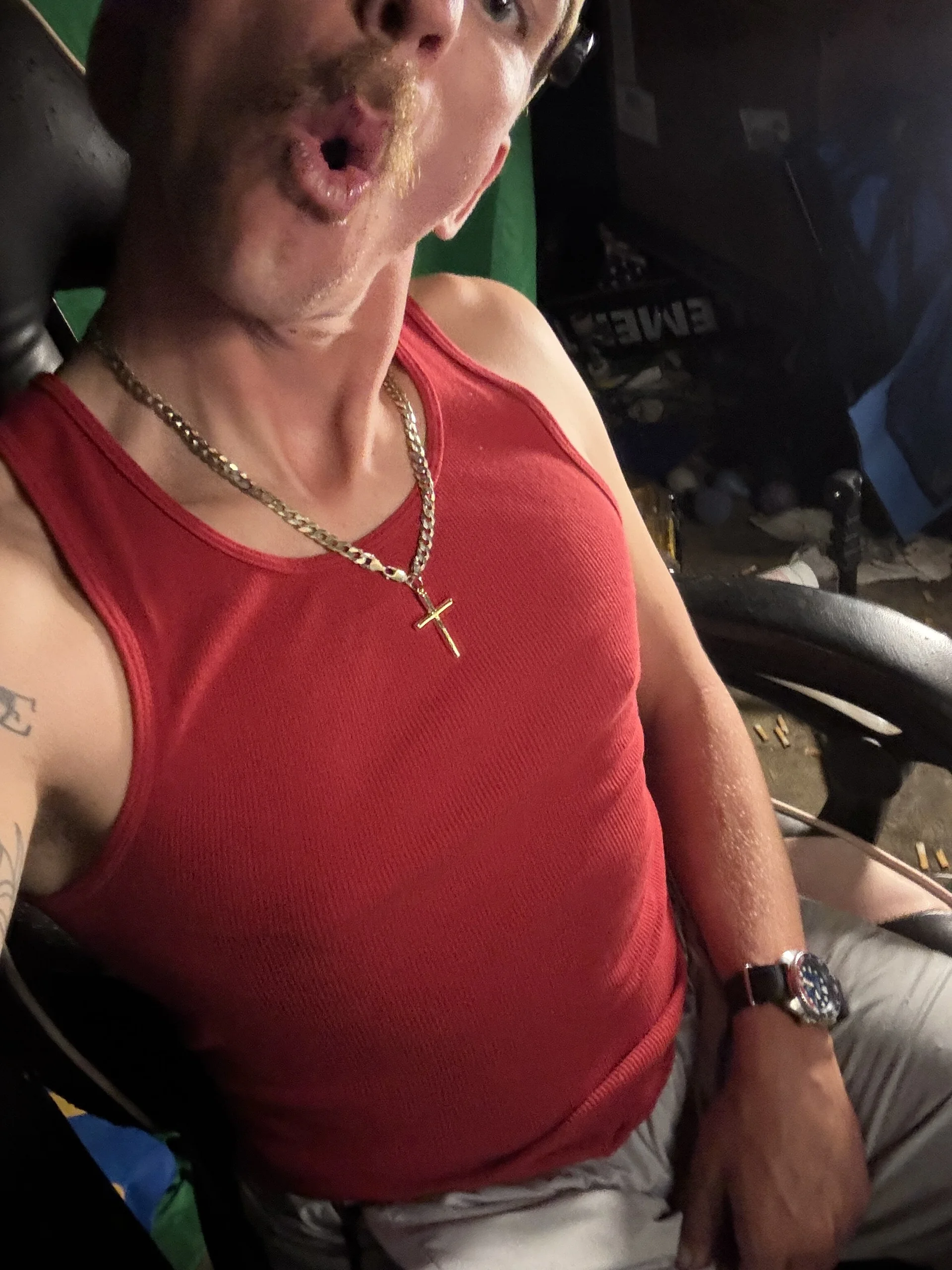 AverageMaleJay