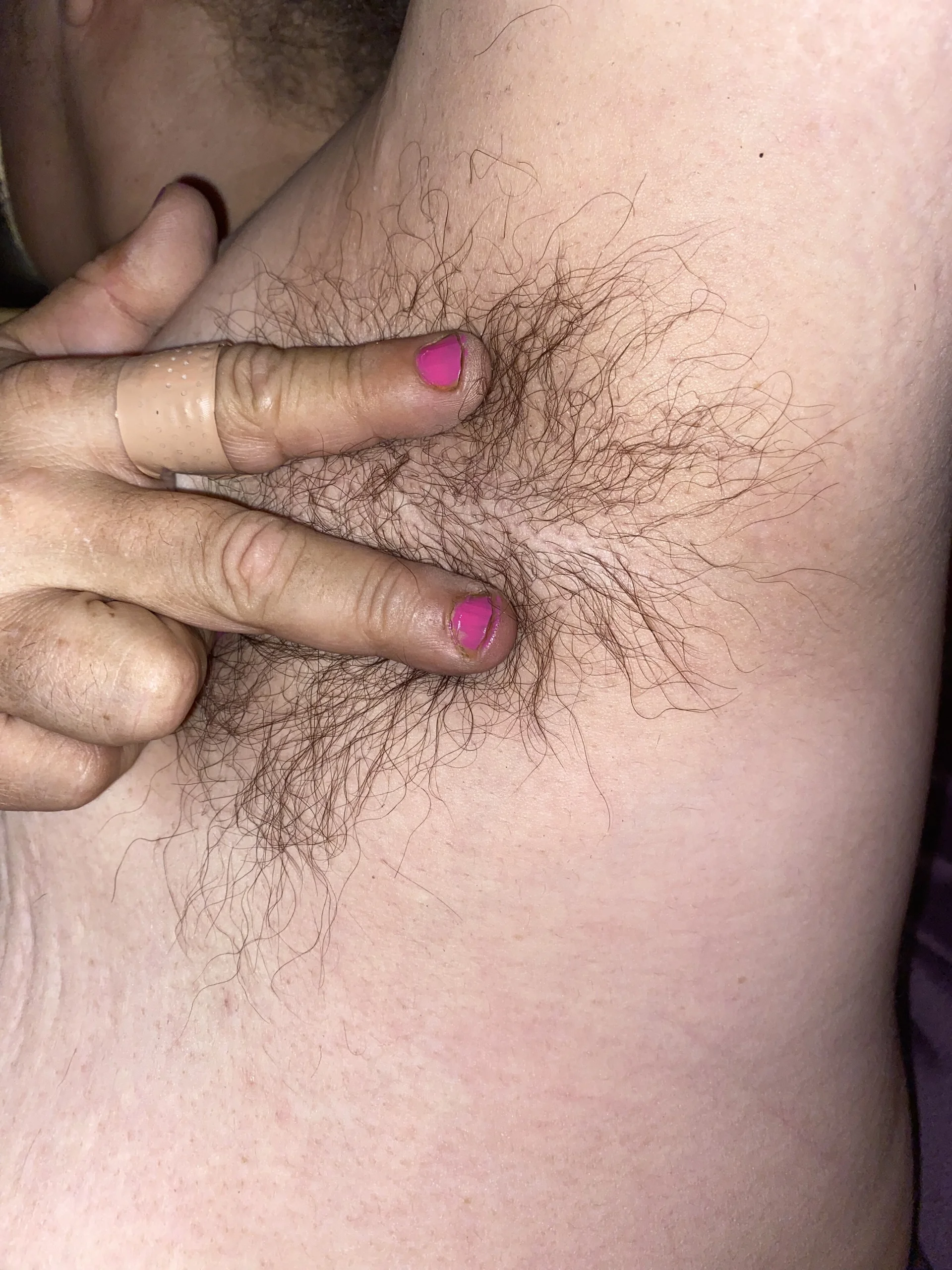 XXX Porn Photo of Nude Nice_n_hairy580 27